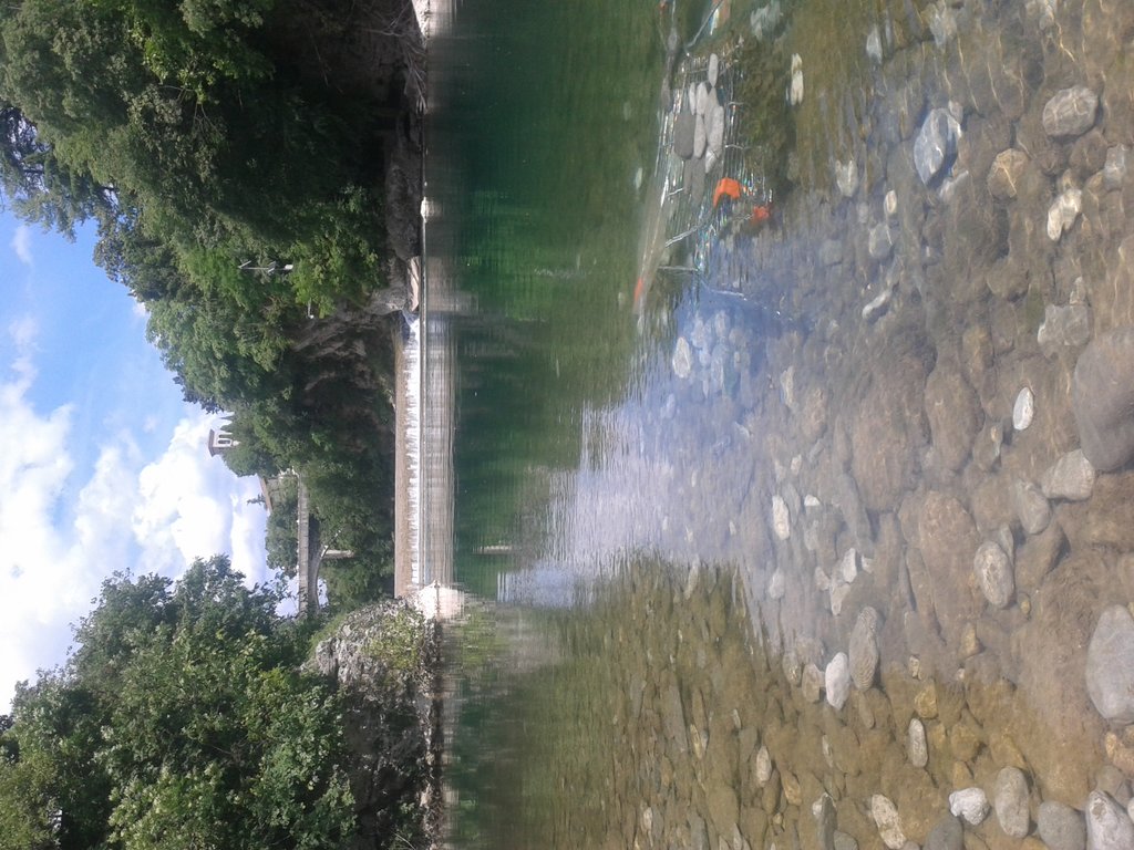 Foto 339